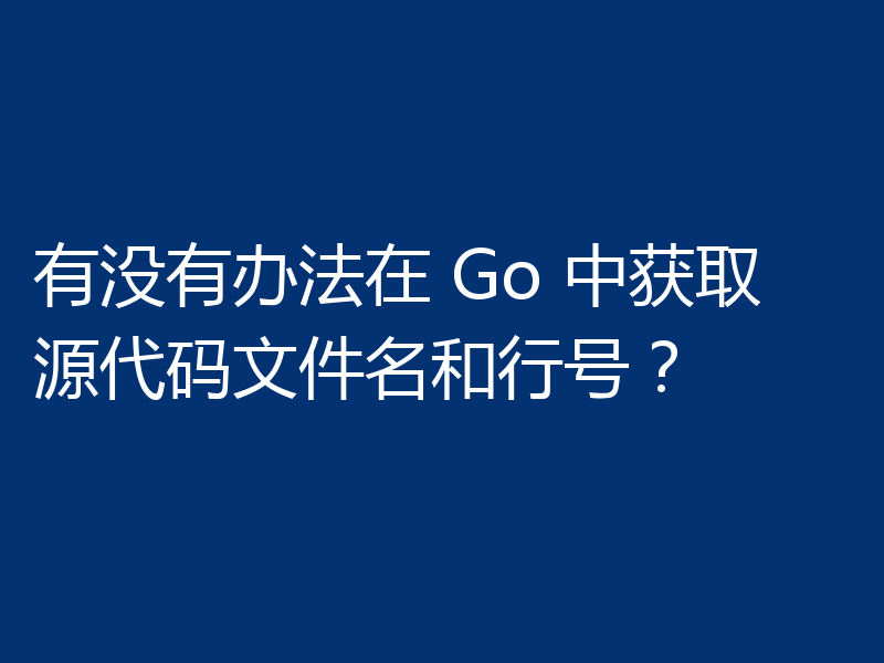 有没有办法在 Go 中获取源代码文件名和行号？