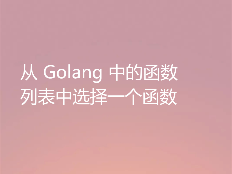 从 Golang 中的函数列表中选择一个函数
