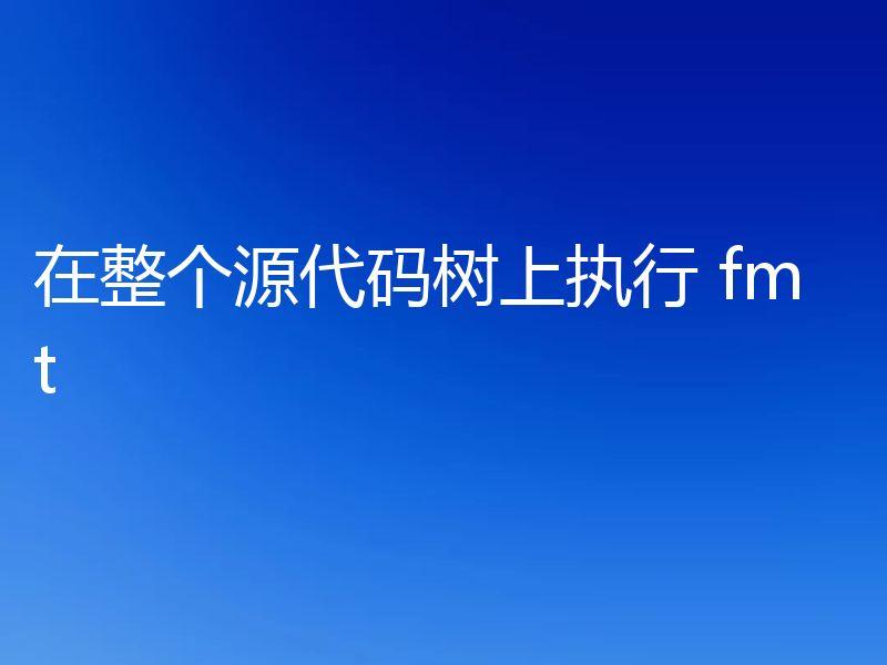 在整个源代码树上执行 fmt