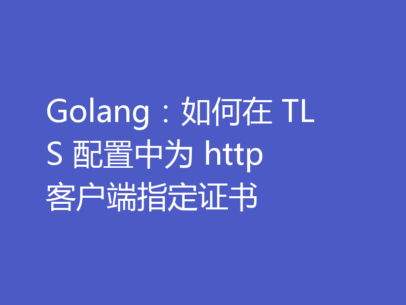 Golang：如何在 TLS 配置中为 http 客户端指定证书
