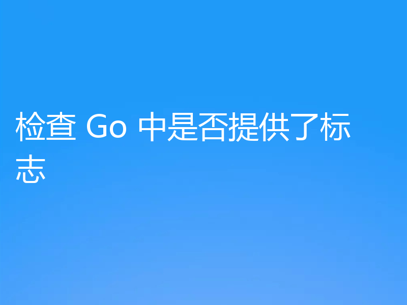 检查 Go 中是否提供了标志