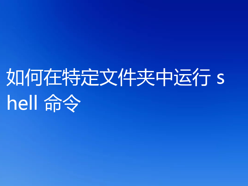 如何在特定文件夹中运行 shell 命令