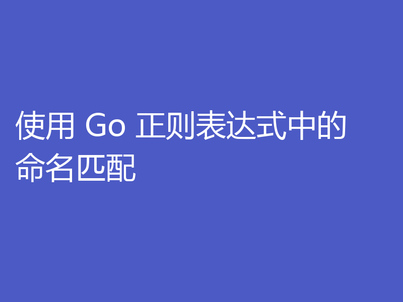 使用 Go 正则表达式中的命名匹配