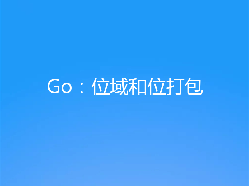 Go：位域和位打包