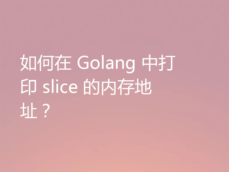 如何在 Golang 中打印 slice 的内存地址？