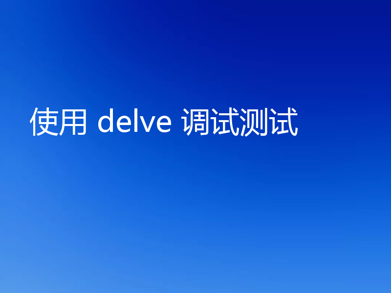 使用 delve 调试测试