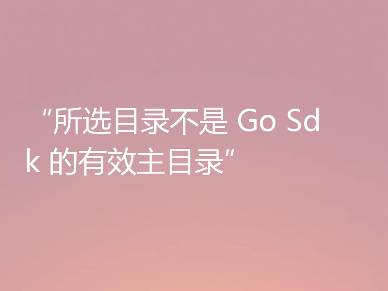 “所选目录不是 Go Sdk 的有效主目录”