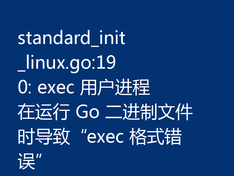 standard_init_linux.go:190: exec 用户进程在运行 Go 二进制文件时导致“exec 格式错误”
