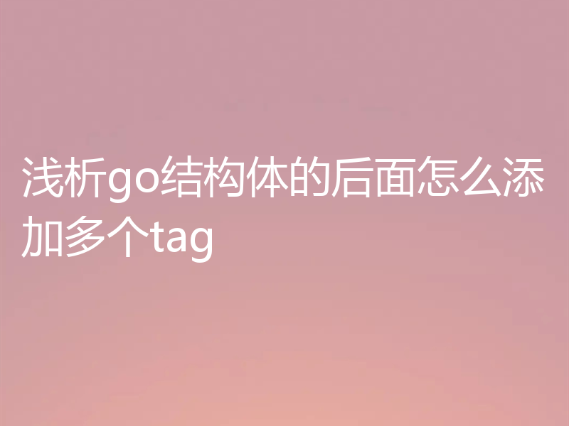 浅析go结构体的后面怎么添加多个tag