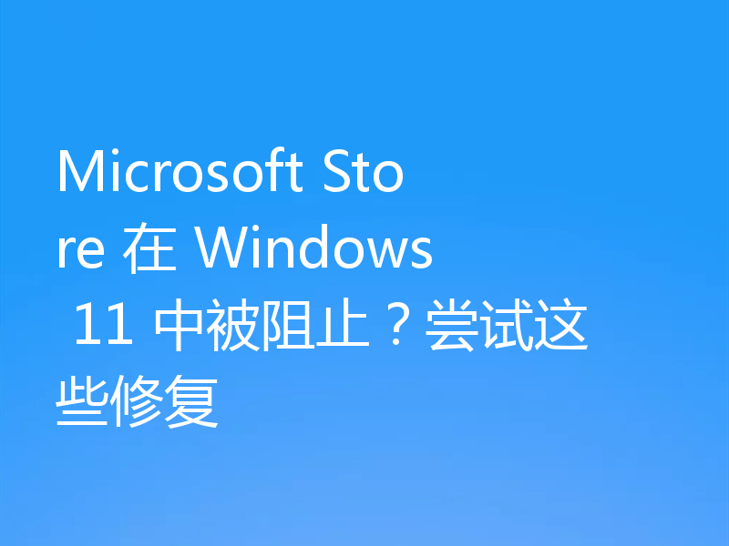 Microsoft Store 在 Windows 11 中被阻止？尝试这些修复
