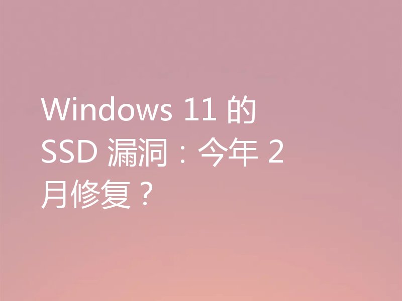 Windows 11 的 SSD 漏洞：今年 2 月修复？