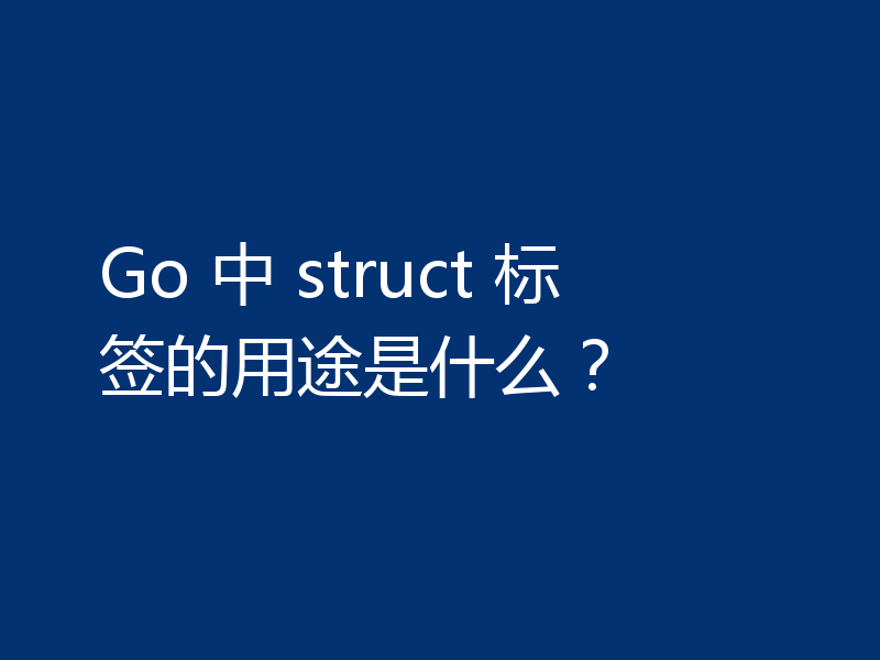 Go 中 struct 标签的用途是什么？