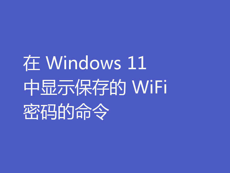 在 Windows 11 中显示保存的 WiFi 密码的命令