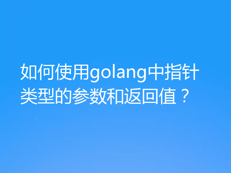 如何使用golang中指针类型的参数和返回值？