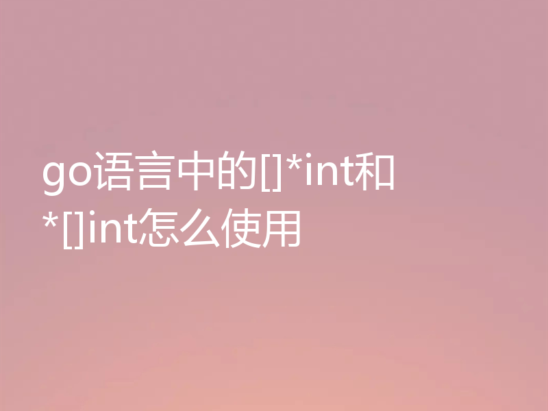 go语言中的[]*int和*[]int怎么使用