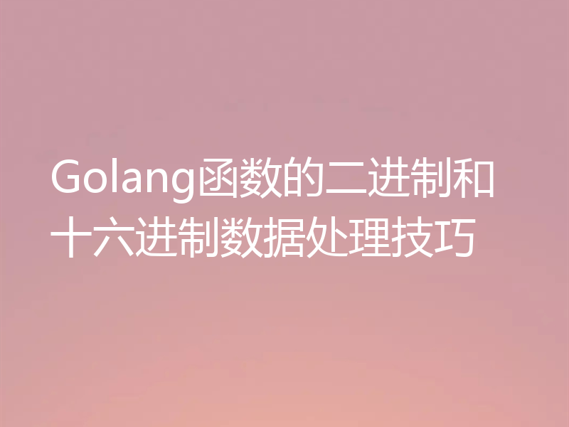 Golang函数的二进制和十六进制数据处理技巧