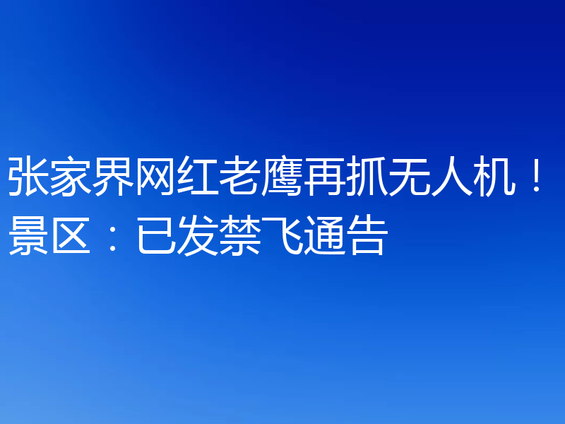 张家界网红老鹰再抓无人机！景区：已发禁飞通告