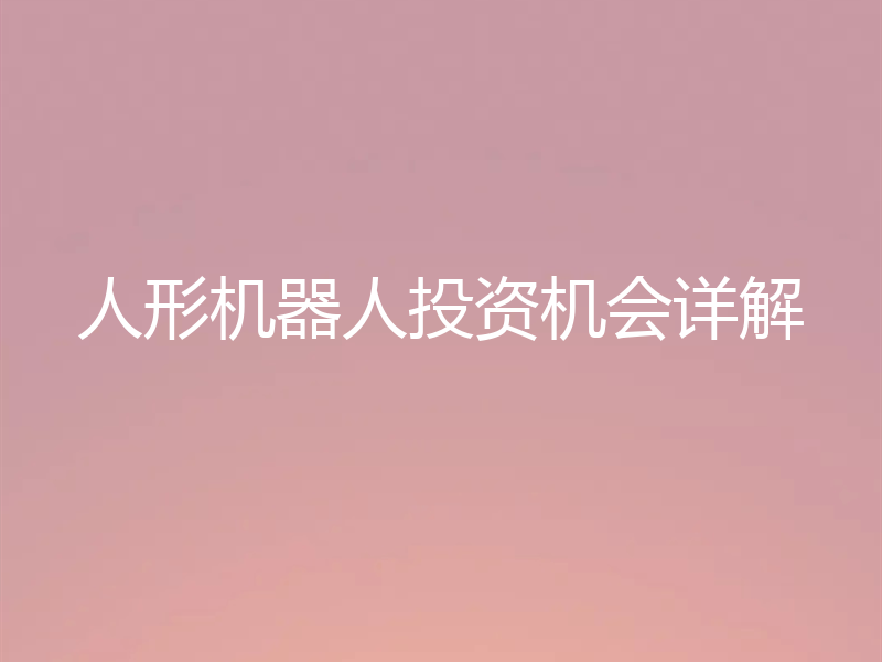 人形机器人投资机会详解