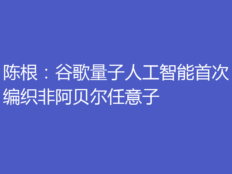 陈根：谷歌量子人工智能首次编织非阿贝尔任意子