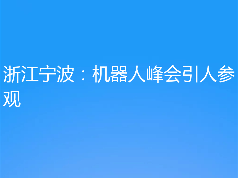 浙江宁波：机器人峰会引人参观