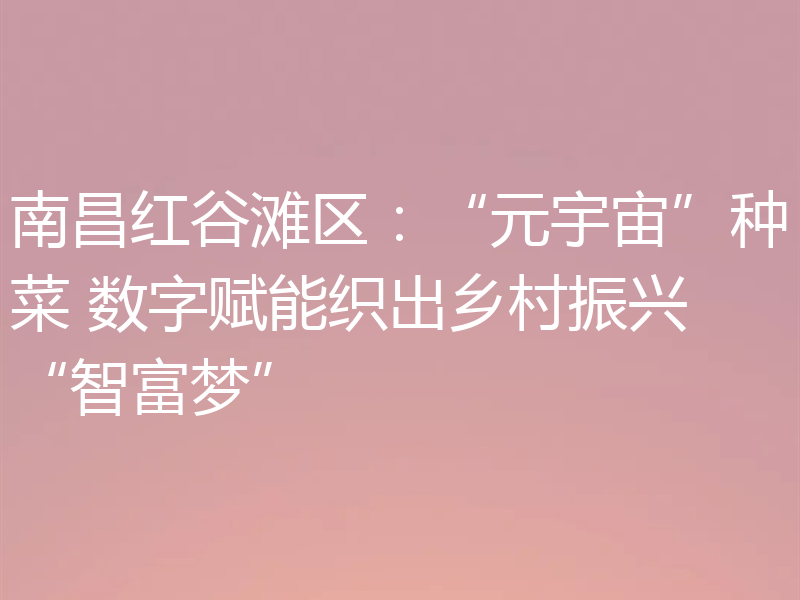 南昌红谷滩区：“元宇宙”种菜 数字赋能织出乡村振兴“智富梦”