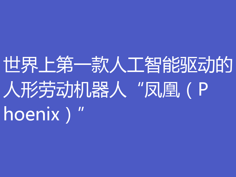 世界上第一款人工智能驱动的人形劳动机器人“凤凰（Phoenix）”