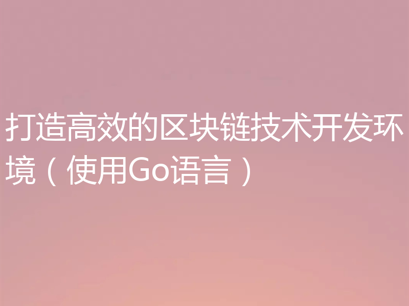 打造高效的区块链技术开发环境（使用Go语言）