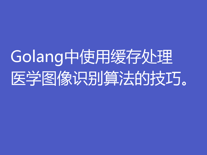 Golang中使用缓存处理医学图像识别算法的技巧。