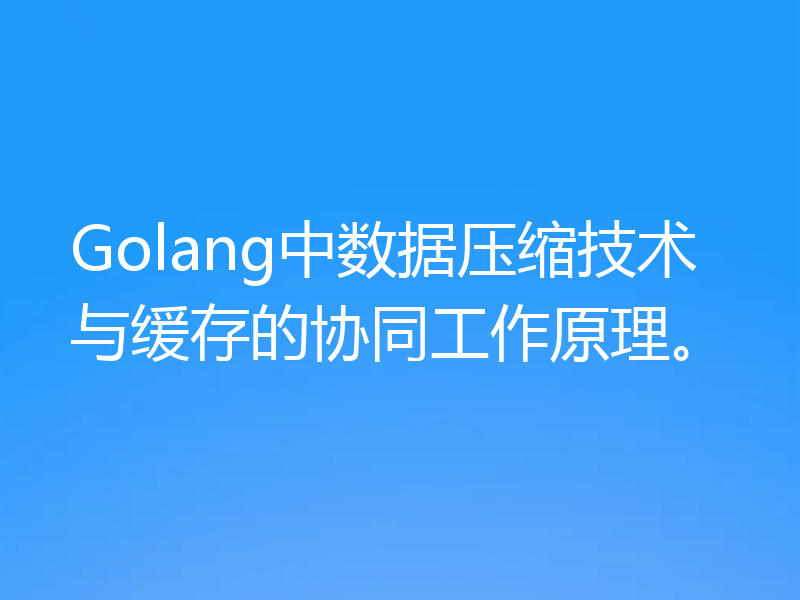 Golang中数据压缩技术与缓存的协同工作原理。