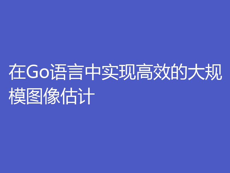 在Go语言中实现高效的大规模图像估计