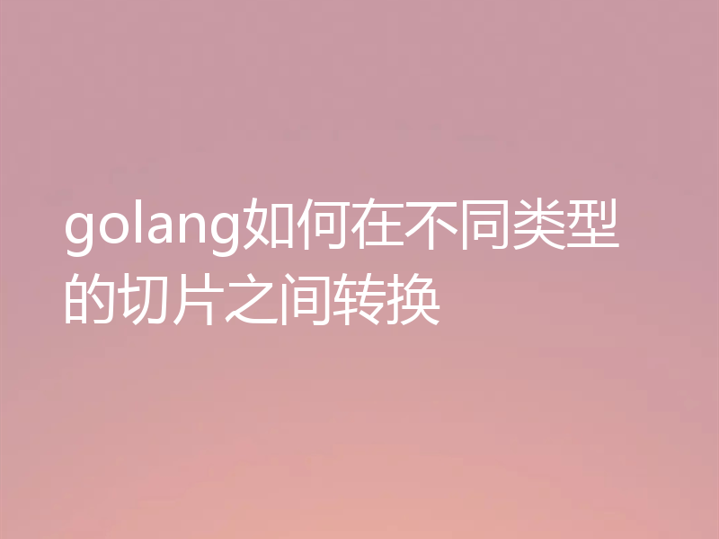 golang如何在不同类型的切片之间转换