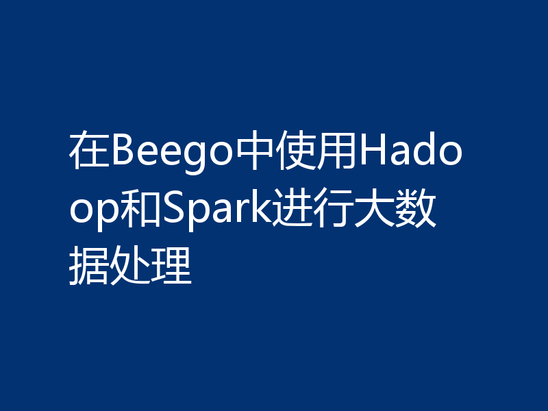 在Beego中使用Hadoop和Spark进行大数据处理