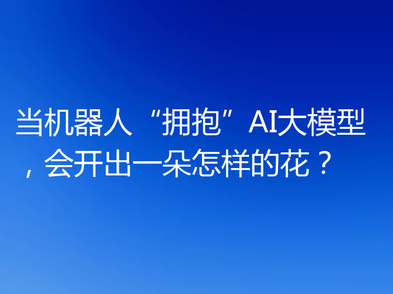 当机器人“拥抱”AI大模型，会开出一朵怎样的花？