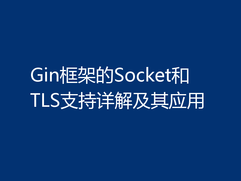 Gin框架的Socket和TLS支持详解及其应用
