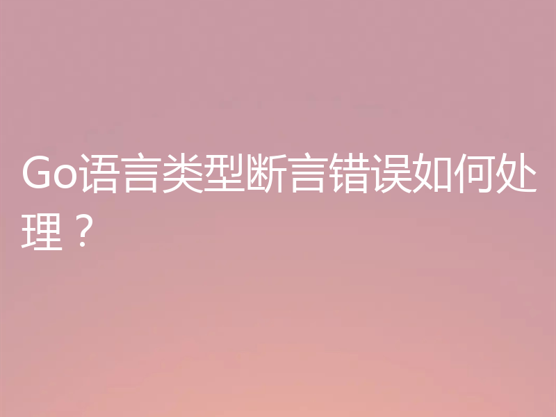 Go语言类型断言错误如何处理？