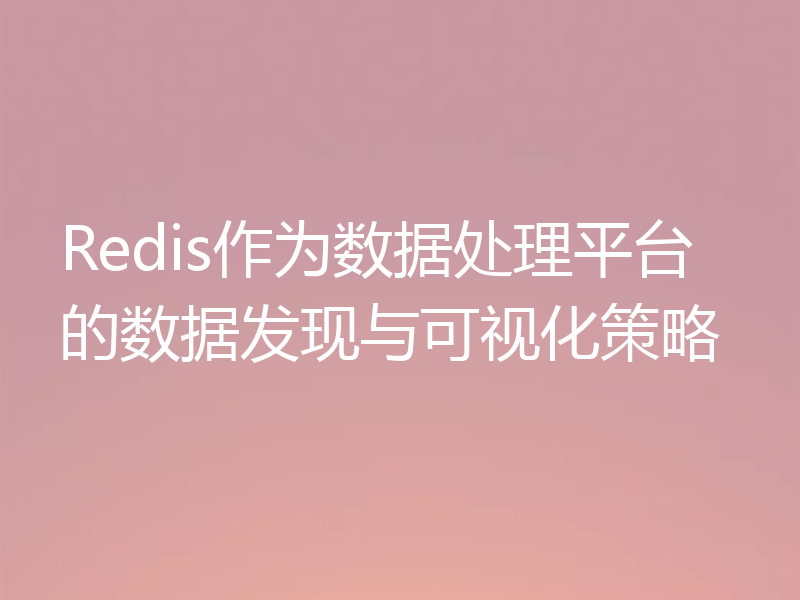 Redis作为数据处理平台的数据发现与可视化策略