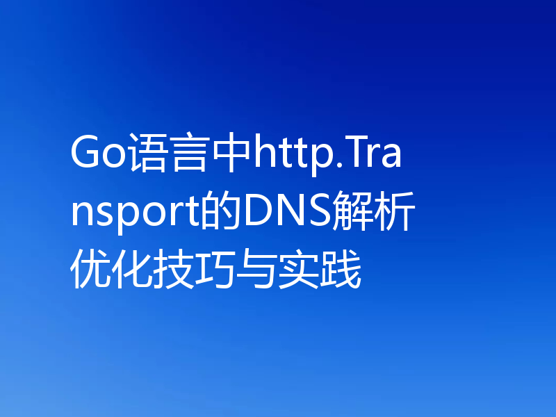 Go语言中http.Transport的DNS解析优化技巧与实践