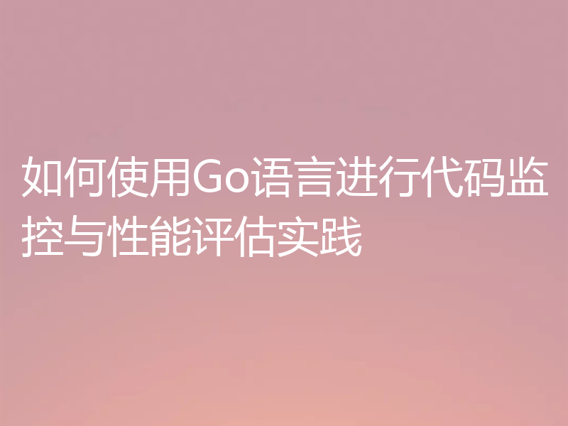 如何使用Go语言进行代码监控与性能评估实践