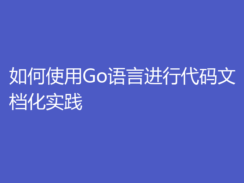 如何使用Go语言进行代码文档化实践