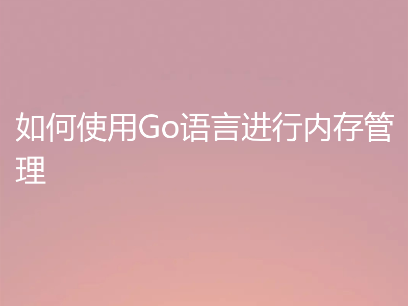 如何使用Go语言进行内存管理