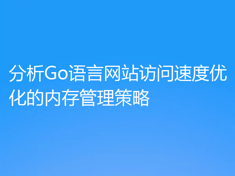 分析Go语言网站访问速度优化的内存管理策略
