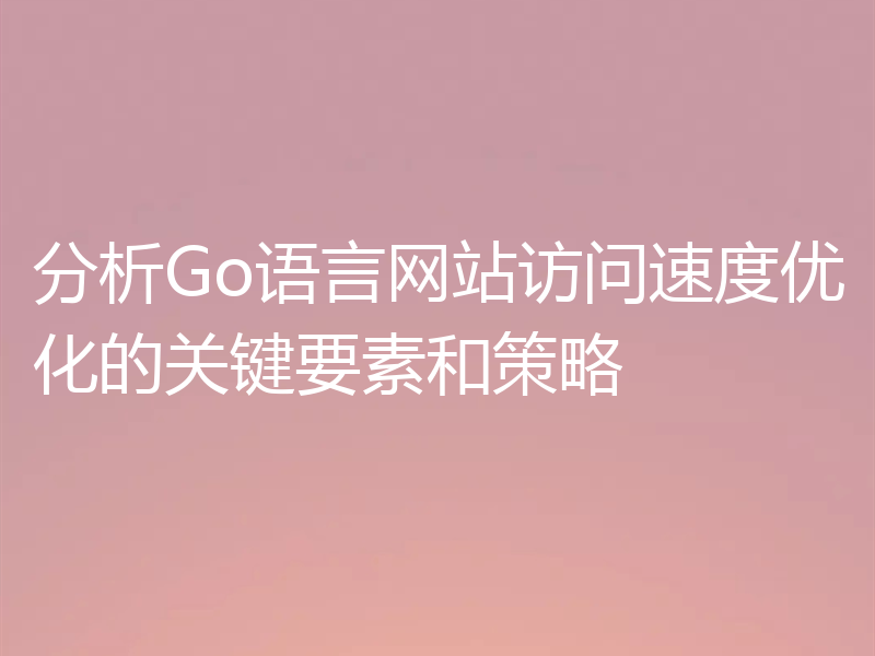 分析Go语言网站访问速度优化的关键要素和策略