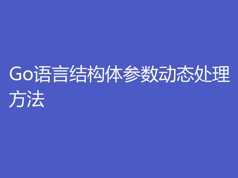Go语言结构体参数动态处理方法