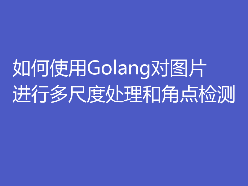 如何使用Golang对图片进行多尺度处理和角点检测