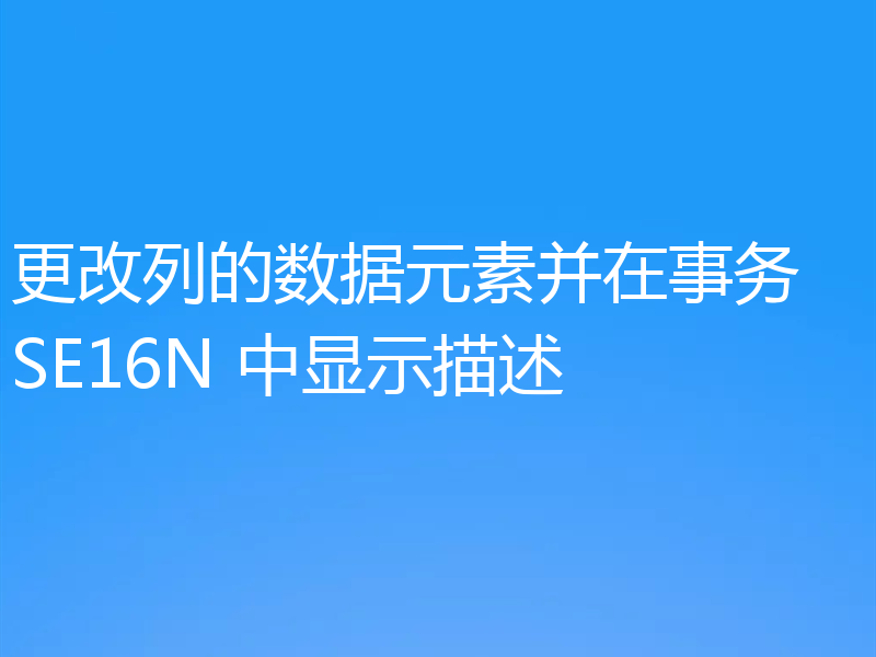 更改列的数据元素并在事务 SE16N 中显示描述
