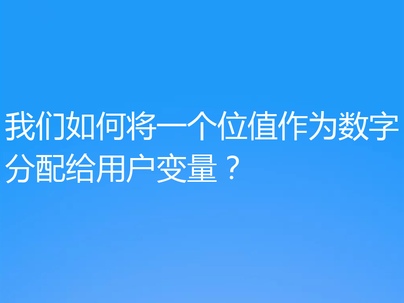 我们如何将一个位值作为数字分配给用户变量？