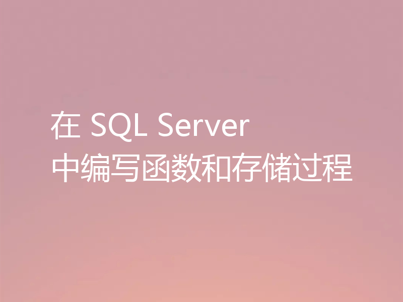 在 SQL Server 中编写函数和存储过程