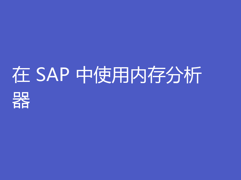 在 SAP 中使用内存分析器