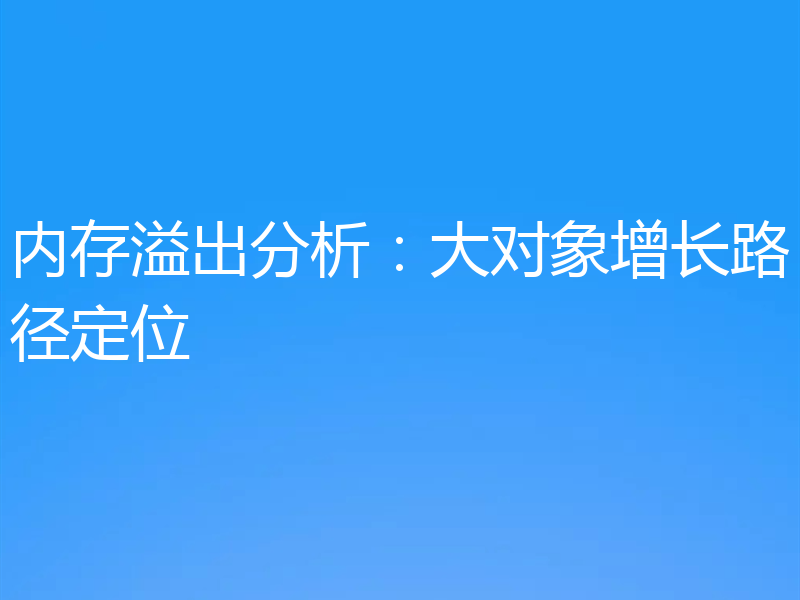 内存溢出分析：大对象增长路径定位
