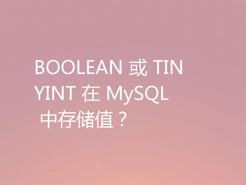 BOOLEAN 或 TINYINT 在 MySQL 中存储值？